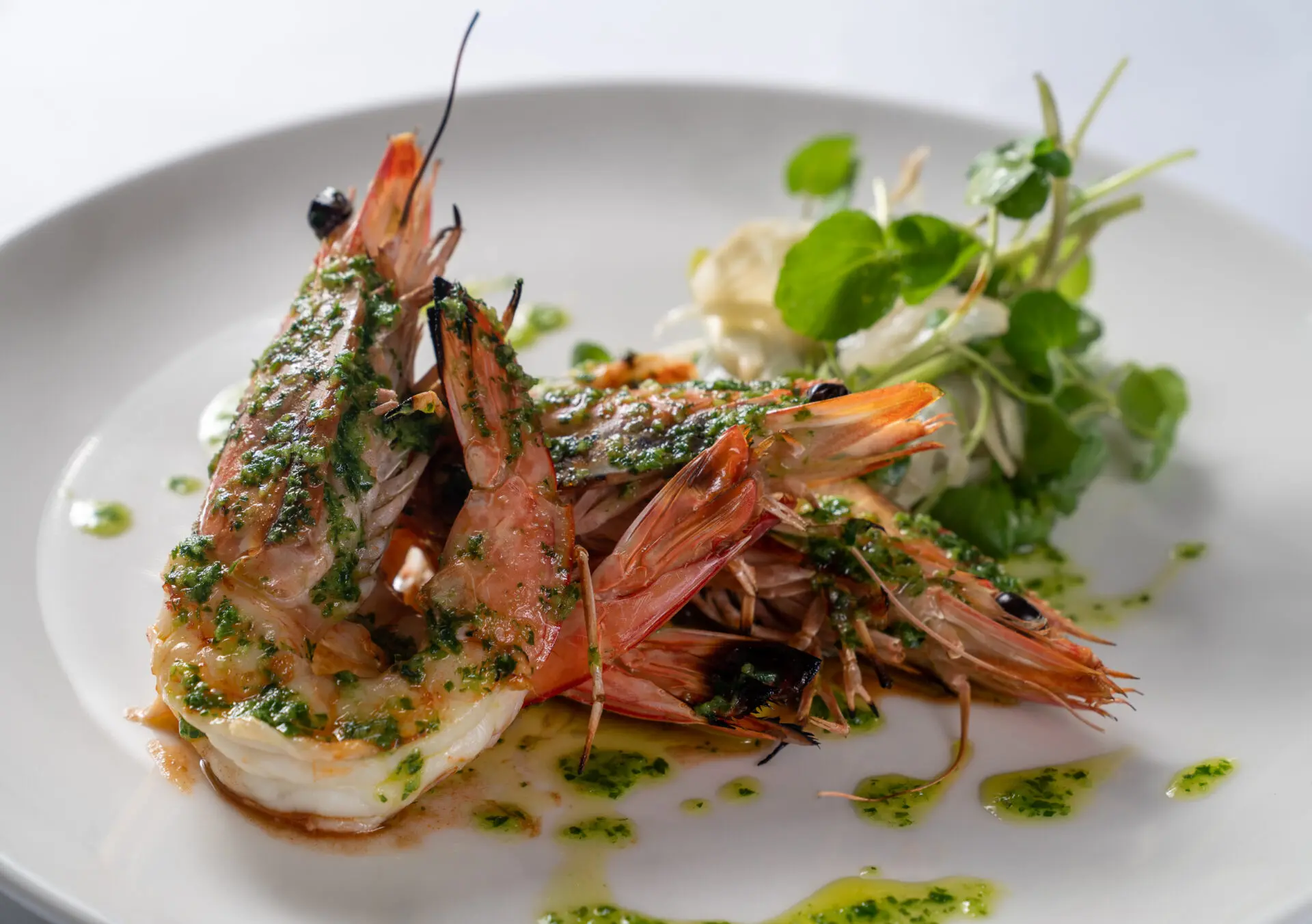 Frenchies Brasserie
