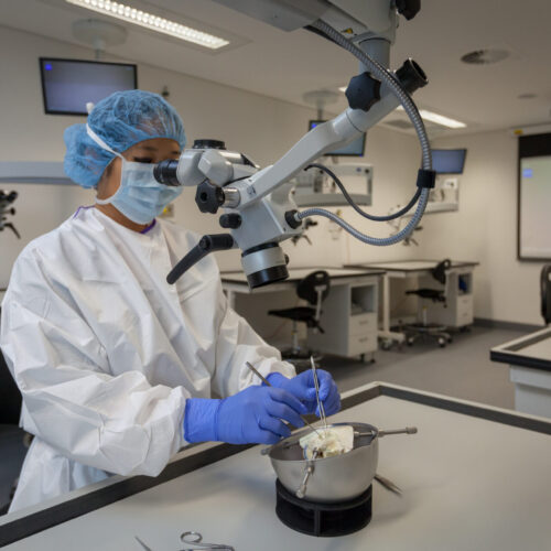 Corporate videos and events live streaming. photography or video of workers. north coast nsw